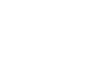 Logo_alternatif_blanc_B&D