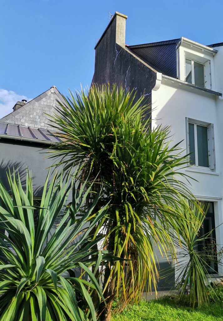 La maison de Barbara