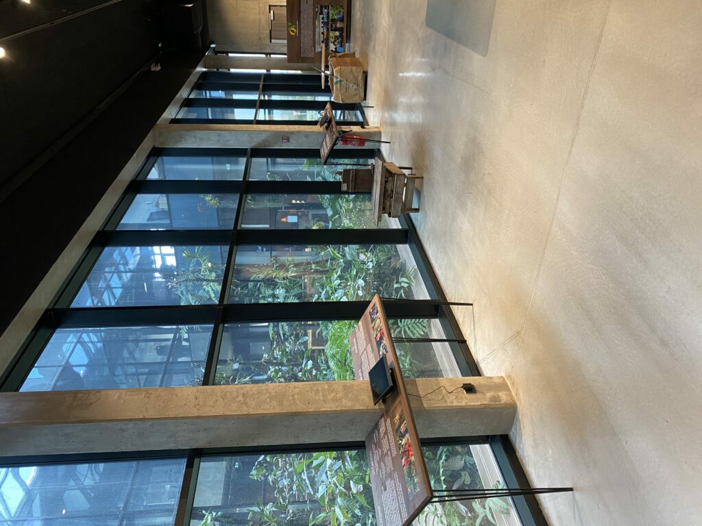 La chocolaterie