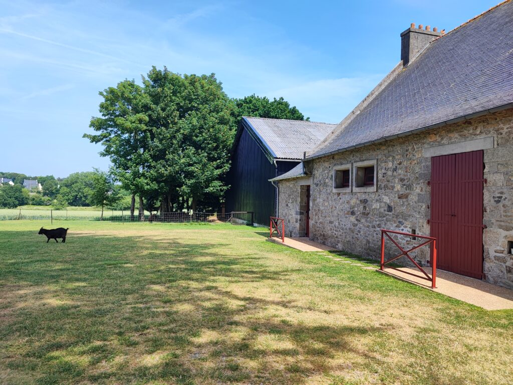 La cour d’Anne