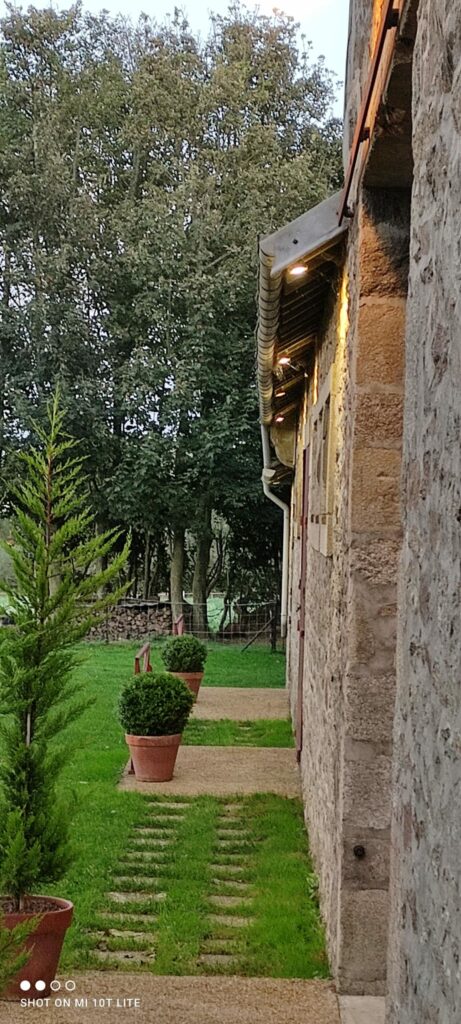 La cour d’Anne
