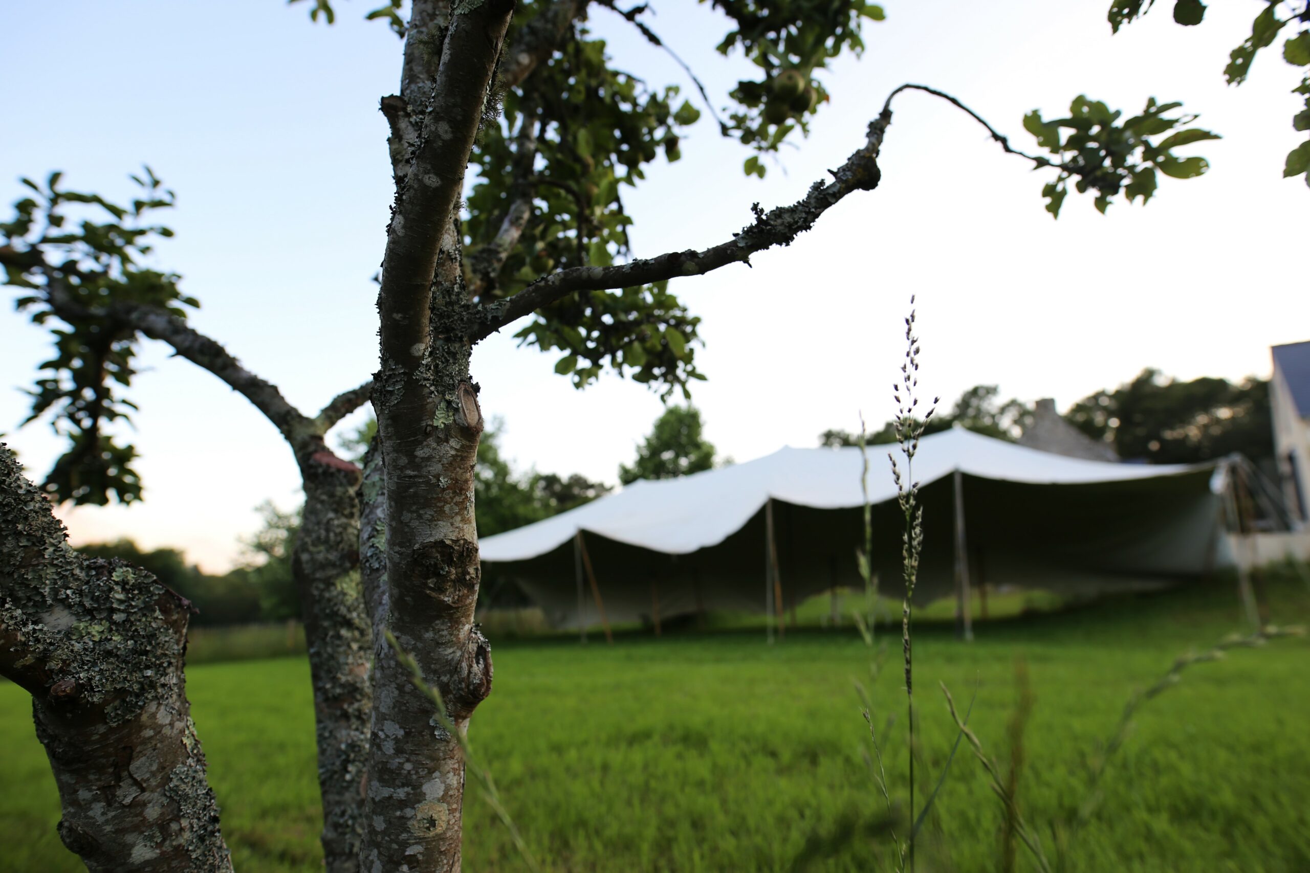 Le domaine de Carnac