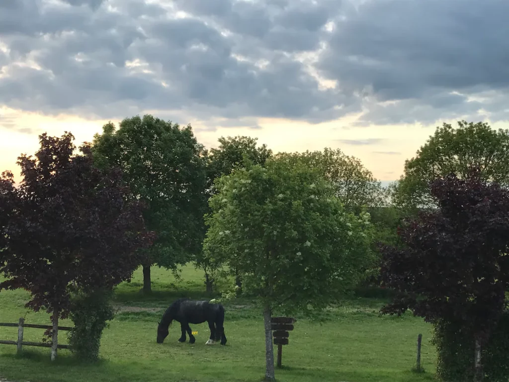 Le domaine de Caroline