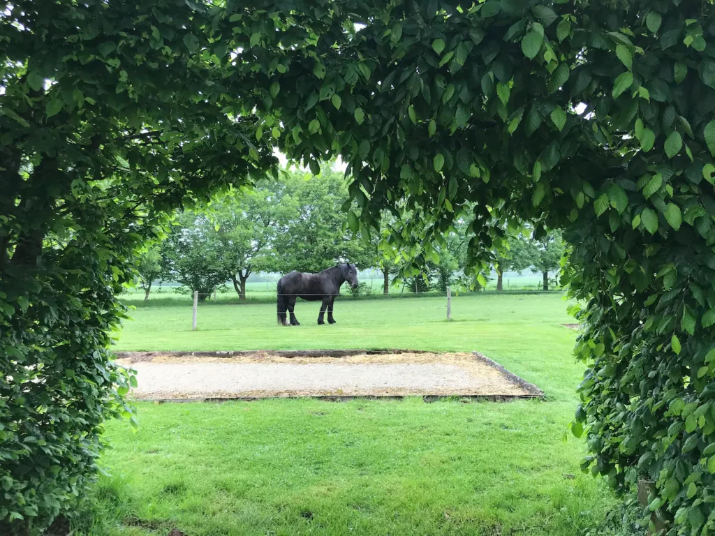 Le domaine de Caroline