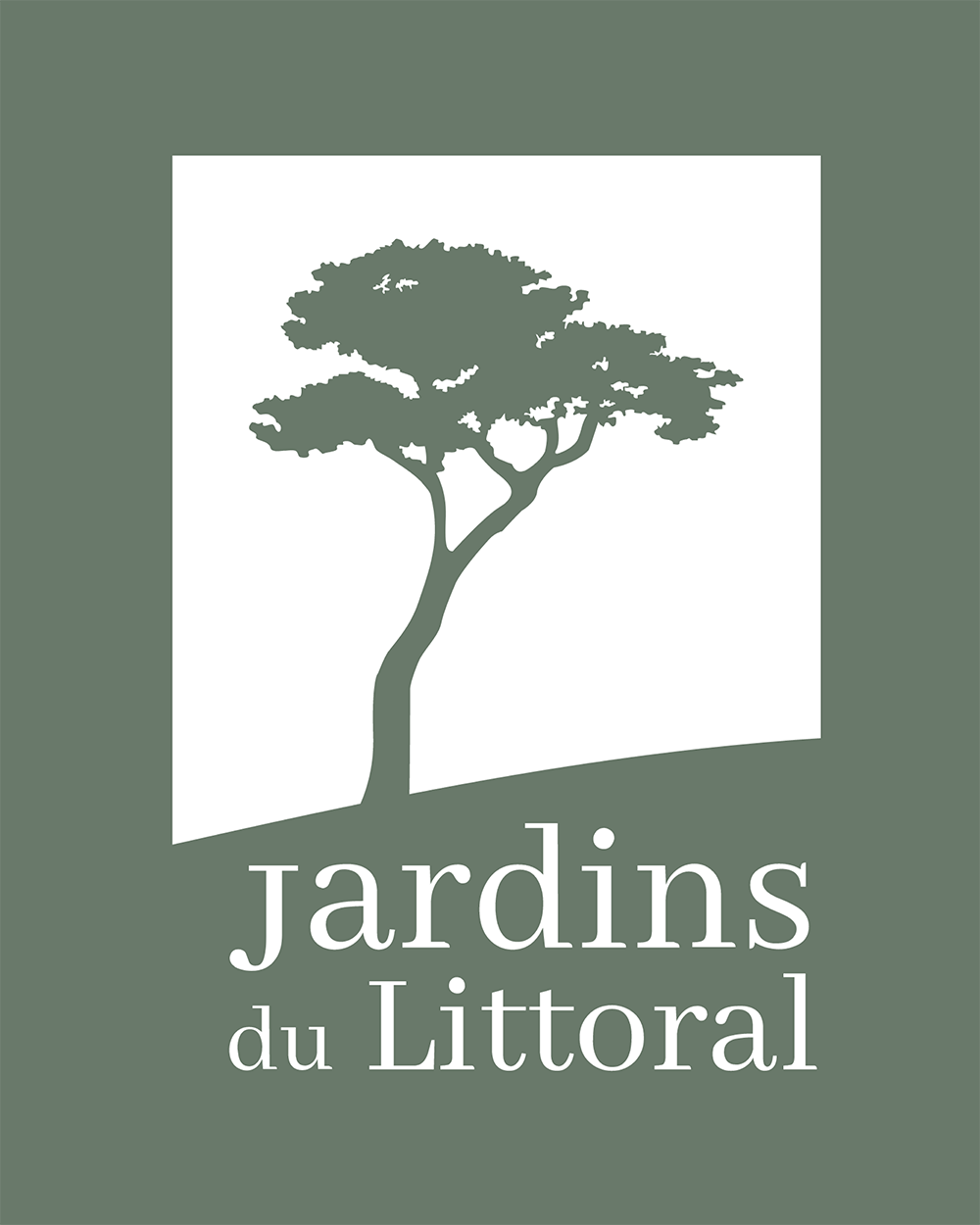 logo 11