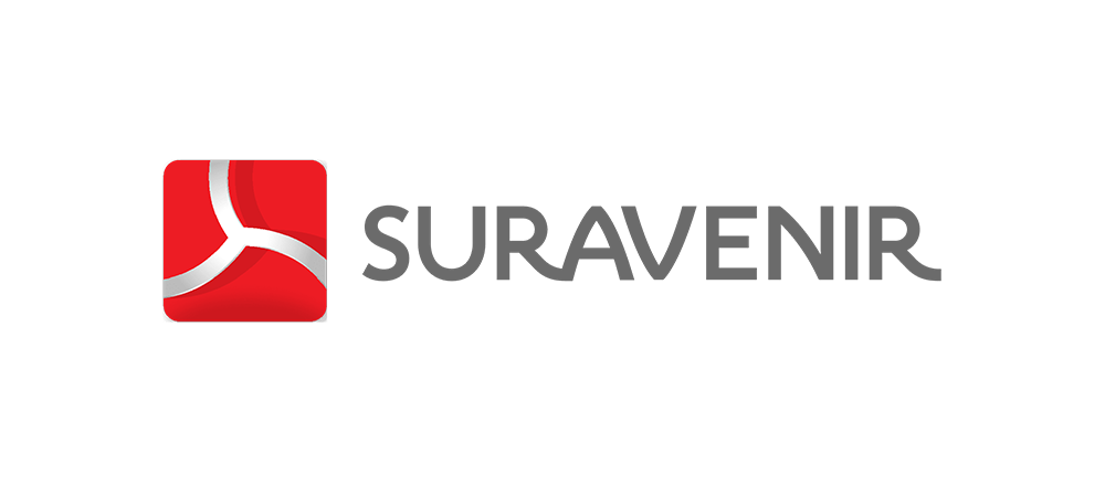 logo 12
